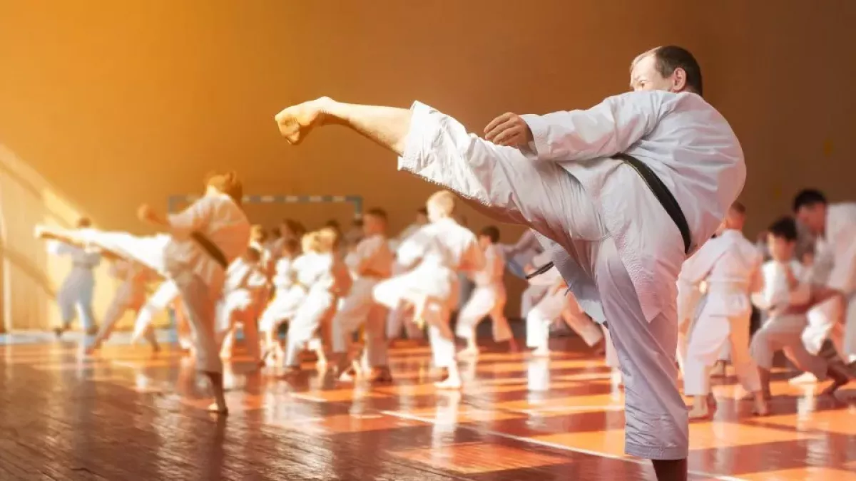Karate nezná první pohyb, není útočné. Navíc posiluje ducha, pochvaluje si vicemistr světa