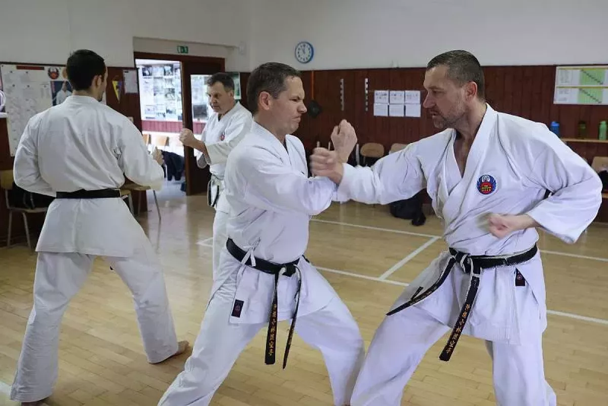 VIDĚLI JSME: Karate a kobudo. V Havlíčkově Brodě se představila bojová umění